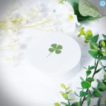 네잎클로버 코팅 카드 압화 책갈피 네잎클로바 선물 네잎클로버생화 수험생선물 감사카드 : 파티s