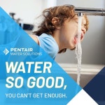싱크 워터 필터링 시스템 PFAS 필터 PFOA 감소를 위한 NSF 인증을 받은 펜테어 쉬운 흐름 /PFOS : 루프탑플레이