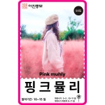 핑크뮬리 씨앗 50립 / 꽃씨 몰 봄 가을 꽃씨앗 다년생야생화 Pink muhly : 아진종묘 꽃씨몰