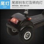 세발 전기자전거 등하원 삼륜 전동자전거 세발전기자전거 24V 1 디럭스 버전: 듀얼 브레이크 배터리 토호금 : 너스컴퍼니