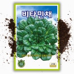비타민 씨앗 50g 비타민 다채 씨앗 종자 쌈채소 대용량 : 씨앗팜