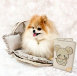 포펫츠온리 TopoMio Diamond Passport Greige : 헤이도그 송도본점