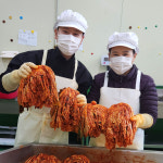 전라도 김치 배추김치 김장 포기 2kg : 더본촌