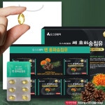 (약국 판매용)솔잎증류농축액 송침유 효능 명품 레드파인 적송유120정 2개월분 홍화씨유 : 에비뉴 몰