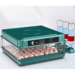 인공 병아리 부화기 기계 농장 조절 워터시트10개 사육 완전 거위 서랍 전기 선회 워터 베드 10개 : 신비요마켓