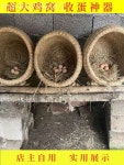 닭알집 산란통 닭둥지 메추리 짚둥지 지푸라기 야외 부화장 옥외 둥지 알집 낳는집 7 닭장 전복 방지 35cm : 솜사탕상회