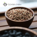 2025년 오곡 혼합잡곡 혼합곡1kg 저속노화식단 밥 잡곡선물세트 : 소화농장