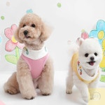에스월드 티셔츠 - 옐로우 강아지의류 소형견옷 애견옷 : 좋은상품추천샵