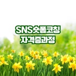 SNS숏폼코칭전문가 자격증과정 : 쓰리백씨네