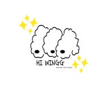 하윙 반려동물 깰꼼목걸이 : 하윙 공방