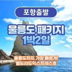 블루오션이우철328호 | [포항출발] 울릉도 쾌속선 패키지 1박2일 : 오션투어