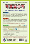애플 꿀수박 씨앗 (10립) 애플수박 종자 수박 박수박 꼬마수박 씨 영웅 KS : 영웅씨앗
