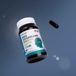 엔젯오리진 하이큐 포스파티딜세린 징코 800mg x 90캡슐 뇌 건강 코스트코 : 건남유통