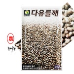 국산 들깨씨 들깻잎 들기름 종자 다유들깨 씨앗 20g : 농사농