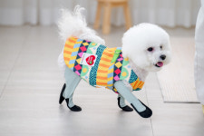 강아지옷 패딩 기모조끼 강아지베스트 코젤리부츠 : 코젤리부츠
