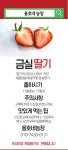 딸기 금실 산지직송 프리미엄 논산딸기 : 용호네 농장