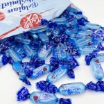 벨지안 하트민트 캔디 500g(약 88개) 코스트코 박하 사탕 대용량 벨기에 : 트레이딜503