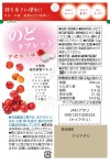 아카 호 카세이 목 태블릿 아세로라 맛 24g × 10 개 : METEOR JAPAN