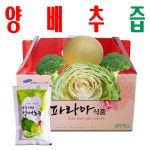 양배추즙30/ 브로콜리양배추즙/ 무안 황토 땅 재배/ 파라마식품/ 30팩 : 사 온 데