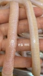 ♥ 까까로운이 개발한 치즈빼뺴로(오리울대) ♥ 이빨이 약한 강아지도 먹을 수 있는 간식 : luv bear