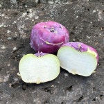 [12브릭스] 달큰아삭 제주 햇 콜라비 특상품 농장 직송 보라 무우 3kg 5kg : 삼시세끼연구소 친환경