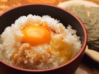 일본소스 소스 빙고 3 PC (350g x 3) 일식 요리 식자재 소스류 : 마켓웨이브코리아