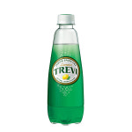 트레비 레몬, 300ml, 1개 : 모두모아ON