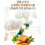 프로폴리스 100 캡슐 프리폴리스 대용량 플라보노이드 면역력에 항산화 좋은 프리미엄 : 나다음