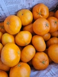⭐️레드향가정용⭐️가성비/가정용/5kg/최저가/고당도/농장주직접재배/산지직송 : 종남농장