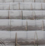 비닐하우스용 비닐 방습 물방울 차단 특수 코팅처리된 소형 비닐 자재 : 꿀복마켓