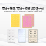 반영구 눈썹 & 반영구 입술 연습판 (5타입) : K뷰티코스메틱