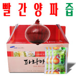 빨간양파즙/ 자색양파즙/ 적양파즙/ 무안 황토 자색양파/ 파라마식품/ 110ml x120팩 : 사 온 데