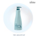 옵시디앙 스칼프쿨케어 샴푸 580ml 헤어 미용실 두피관리 쿨샴푸 : 선덕여왕몰