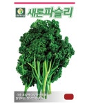 파슬리 씨앗 2g 허브 채소겸용 쌈채소 야채 씨앗 파세리 : 청년모종
