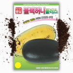 블랙 허니 수박씨앗 10립 블랙 망고 흑피수박 종자 : 씨앗팜