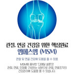 일양약품 엠에스엠 플러스 관절 아연 뼈건강 솔루션 인대  : 뉴트리룸