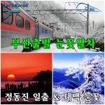 부산출발 태백눈꽃열차 [태백산 눈꽃축제+철암역] 겨울 당일치기 기차여행{부산/울산/동대구 출발) : 기차여행