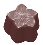 cw 1568 / 전문가용 PC 폴리카보네이트 초콜릿몰드 (초콜릿 월드) / 매화설기 : 서일토탈베이커리시스템