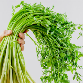 국내산 생미나리 한재미나리 당일생산 돌 청도 200g 400g 1kg : 오늘곳간