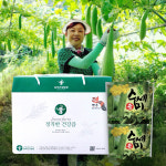 정직한 수세미즙 100ml 50포 도라지생강대추 첨가 : 농부건강농원