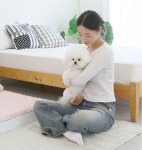 초코펫하우스 강아지 침대 매트리스 애견 웜코지 : 주식회사 더드림