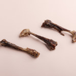 [영양언니] 대용량 오리도가니 16p 강아지 수제 간식 : 영양언니의수제간식