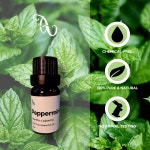 아로마테라피를위한 페퍼민트에센셜오일 10ml ( Peppermint Essential Oil / 페퍼민트아로마오일 ) - 셀아로마 : 셀아로마 - 아로마편집샵
