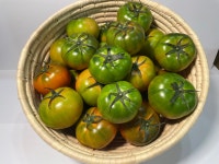 대저 짭짤이 토마토 2.5kg 특품 대저토마토 S 2S 3S 부산 농장 산지 직송 : 하니의농장