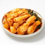 전남 무안 총각 무김치 5kg 당일제조 : 플러그샵
