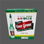 슈퍼에버그린 35ml 10개입 식물영양제 식물종합영양제 영양앰플 : 한양농업마트