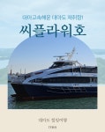 씨플라워호 대아고속 대마도 승선권 이즈하라 히타카츠 왕복 대마도배편 : 후쿠오카 선박여행