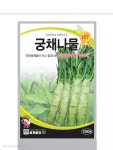 궁채나물 1000립 : 쑥쑥팜마트