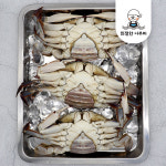 제철 알배기 꽃게 1kg 봄 가을 활 몽당 빙장 급냉 꽃개 친절한어부씨 : 친절한어부씨