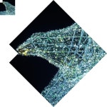 크리스마스트리 조명지니 은하전구 수구점멸 칼라대형 장식백색 색선LED 100M : 브릴란떼스토어